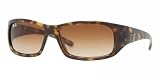 Ray-Ban Jr Sunglasses Rj9046S 152 13 Shiny Havana Brown Gradient