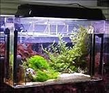 AquaFuge Refugium Small AFSMDXA w Deluxe Lite