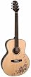 Takamine G540SBF NEX Solid Top Acoustic Guitar - Butterfly Motif