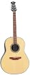 Applause AA21 Acoustic Guitar, Natural