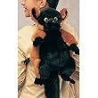 Plush Red Ruffed Lemur Backpack 16"