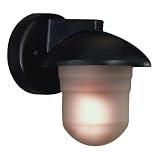 Danbury Bronze ENERGY STAR  7 1/4 High Outdoor Light
