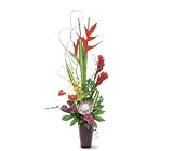 Teleflora's Tropical Beauty