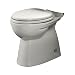 American Standard FloWise Dual Flush Bowl Toilet, White
