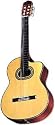 Takamine TH90 Hirade Concert Classic Acoustic-Electric Guitar with Case