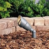 Adjustable Low Voltage Landscape Accent Light