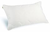 Natura NaturLatex Aloe Dream Mate Pillow