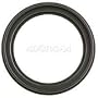 Canon Macrolite Adapter 67