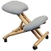 Wooden Ergonomic Kneeling Posture Office Chair [WL-SB-101-GG]