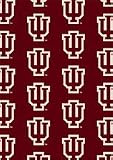 Indiana Hoosiers 7 8 x 10 9 Team Repeat Area Rug