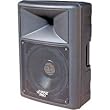 Pyle PPHP1559 700 Watt 15'' Two-Way Plastic Molded Speaker Cabinet
