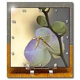 Elegant Orchid- Flowers- Floral Photography- Zen - 6x6 Desk Clock