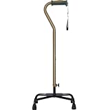 Hugo Mobility