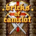 Bricks of