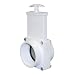 Valterra 4307 PVC Gate Valve, White, 3" FPT