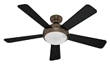 31stA3Hhr1L. SL160  Hunter 21628 Palermo 52 Inch 5 Blade Ceiling Fan with Black and Walnut Blades, Brushed Bronze