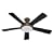 Hunter 21628 Palermo 52-Inch 5-Blade Ceiling Fan with Black and Walnut Blades, Brushed Bronze