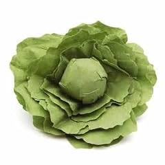 Kaufladen 1 Kopf Salat