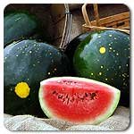 100% Certified Organic: Moon & Stars Melon Seeds - B002ATE618