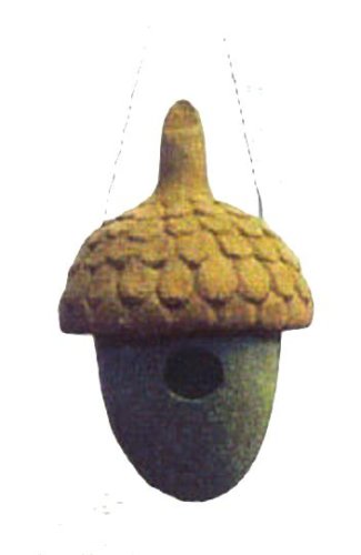 NutHouse Small Acorn Birdhouse