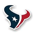 HOUSTON TEXANS 12" Die Cut Vinyl Magnets