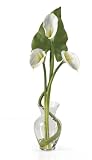 Silk Flowers Calla Lilly Liquid Illusion w/Leaves: Cream