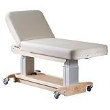 Celesta Performa Lift Table with Backrest Color: Ocean