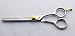 5 1/2" Stainless Steel Thinning Shear