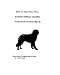 How To Start Your Own Business Selling Collectible Products of Newfoundlands