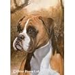 Boxer Flag- 12 width x 17 length