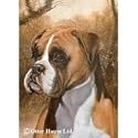 Boxer Flag- 12" width x 17" length