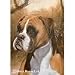 Boxer Flag- 12" width x 17" length
