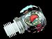 Angel Fish Design - Hand Painted - Wine Bottle Stopper