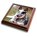 Dogs Australian Cattle - Australian Cattle Dog - Trivets