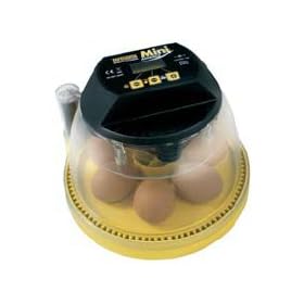 Brinsea Advance Autoturn Mini Incubator: 7 Egg