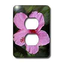 Flowers - Pink Hibiscus - Light Switch Covers - 2 plug outlet cover