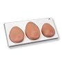 3B Scientific Breast Exam Model 3 Piece