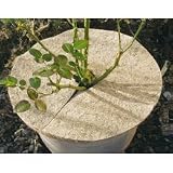 Star 3073230 Kokos-Mulchscheibe Durchmesser: 45 cm