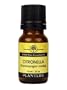 Citronella Ceylon 100% Pure Essential Oil - 10 ml