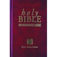 NIV Popular Bible: New International Version (Bible Niv)