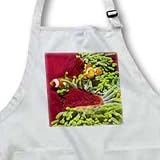 Two Clown Anemonefish closeup in Magnificant Sea Anemone.(Amphiprion percula).Solomon Islands - Medium Length Apron With Pouch Pockets 22w X 24l