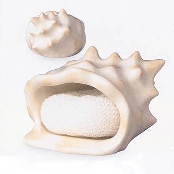 Beach SEASHELL conch Kitchen SCRUBBY HOLDER decor by Boston Warehouse