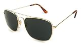 UrbanSpecs Sunglasses - Classics - Pilot / Frame: Black Lens: Grey