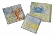 Nautical Stoneware Square Serving/Luncheon Plates (set of 3)