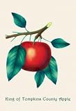 Framed Black poster printed on 20 x 30 stock. King of Tompkins County Apple