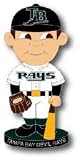 Tampa Bay Devil Rays Bobble Head Pin
