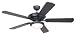 31syBpOQTUL. SL75  Rosebush Tiffany Stained Glass Ceiling Fan Light Kit 12 Inches W