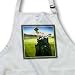 Susan Brown Designs Fathers Day Holiday Themes - Clubs for the Links - Aprons