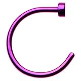 20 Gauge 5/16 Purple Anodized Titanium Nose Hoop
