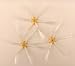 Kitchen & Housewares : iRobot 3 x Replacement side brushes for the Roomba 500 Series